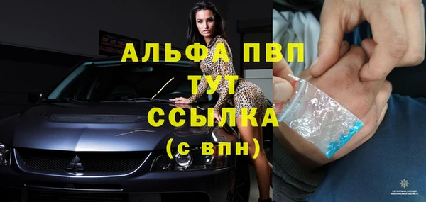 spice Гусиноозёрск