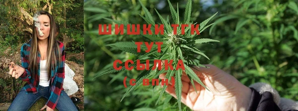mdma Гусев