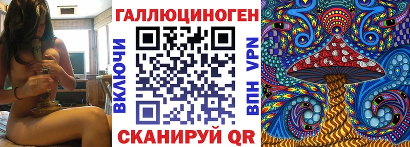 Псилоцибиновые грибы Psilocybine cubensis  сколько стоит  Донской 